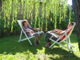 gites en france Loire, d�partement 42