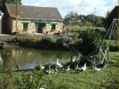 Gites Mayenne